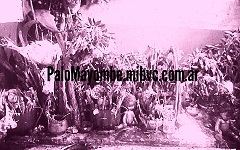 Alt Image Text